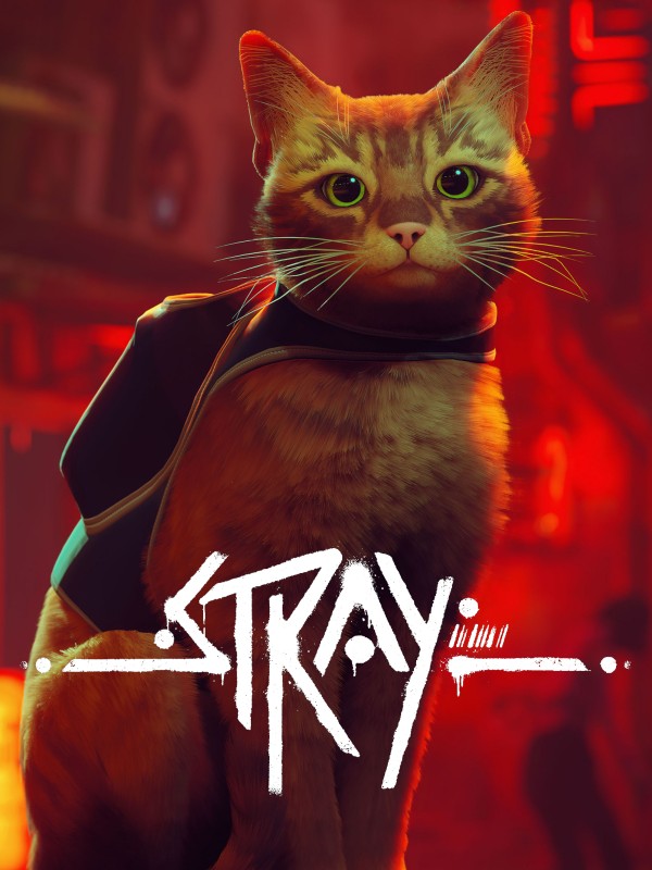 STRAY